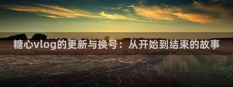 糖心vlog所有影片：糖心vlog的更新