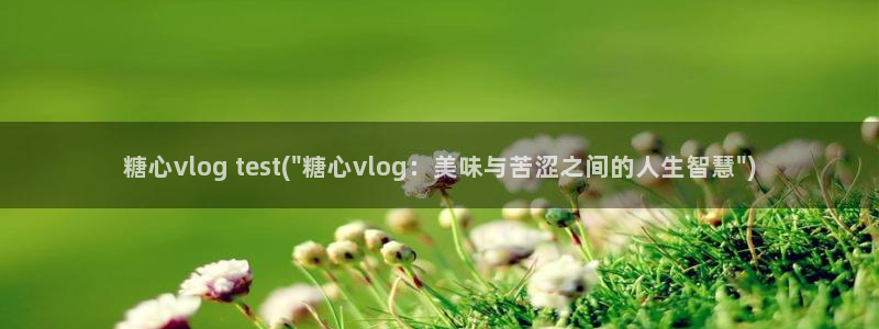 ccav糖心vlog：糖心vlog test(\