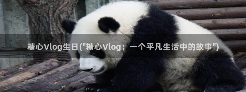 糖心精选vlog：糖心Vlog生日(\