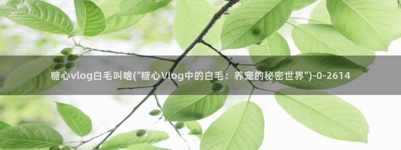糖心vlog深夜：糖心vlog白毛叫啥(