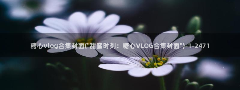 糖心vlog女生物老师：糖心vlog合集封面(\