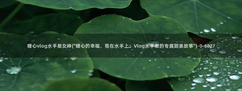 心糖vlog网址