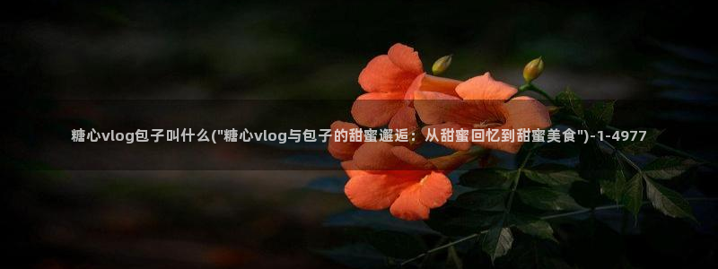 糖心官方vlog特色