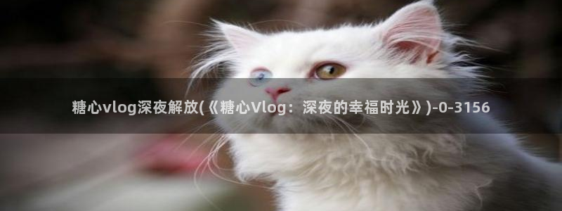安安糖心vlog视频：糖心vlog深夜解