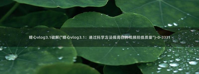 糖心vlog 国产：糖心vlog3.1破解(\